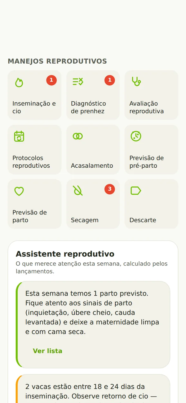 Tela de reprodução